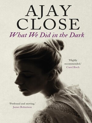 cover image of What We did in the Dark